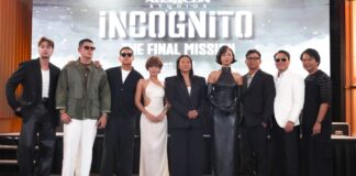 “Incognito” Maintains Top 10 Standing On Netflix And iWant In Finale Week