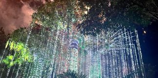 Estancia de Lorenzo Kicks Off Christmas Season with Dazzling Village Lighting